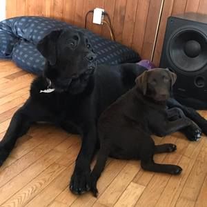 Meet your Posher, Nancy